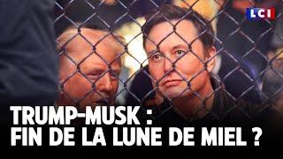 Trump-Musk : fin de la lune de miel ?  ｜LCI