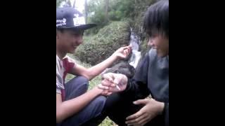 Mesum Di Hutan