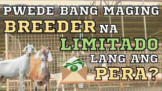 Pwede bang maging BREEDER na limitado lang ang Pera?