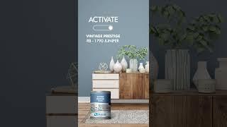 Elevate your space with the classic charm of Juniper! | Renner CM Pakistan