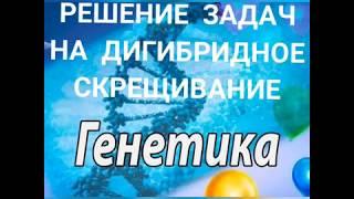 Решение задач на дигибридное скрещивание. III закон Менделя.