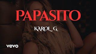  Papasito KAROL G Cover  Latin Vibes 2025 by Own I  #Papasito #Latin #KAROLG