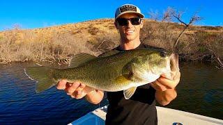 Largemouth Bass Fishing SOCAL! Catching Fish in the Fall.