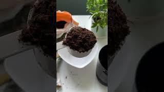 Transform Your Food Waste  #foodcycler #sustainability #gardening
