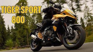 2025 Triumph Tiger Sport 800 – Is This the Perfect Sports Touring Bike?