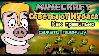 Советы от Нубаса #8 (Как правильно сажать пшеницу) (Minecraft Machinima)