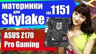 Серия 1151 - ASUS Z170 Pro Gaming (Z170)