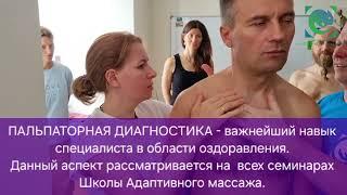 Шведский массаж. Пальпаторная диагностика. Андрей Яковлев