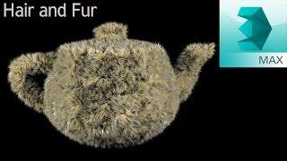 Hair and Fur - 3ds max