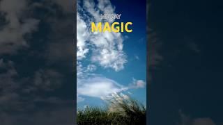 Mid Day Magic: Beautiful Atmosphere Under the Sun - You Won't Believe the Clouds and Blue Sky! |