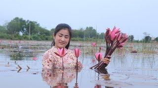 Water Lily Flower In Big Lake - Easy & Yummy Water Lily Recipe - Prepare By Countryside Life TV.