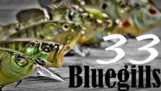 33 Bluegill Lures