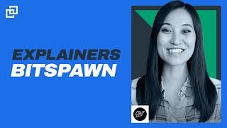 Bittrex Global Explainers: Bitspawn (SPWN)