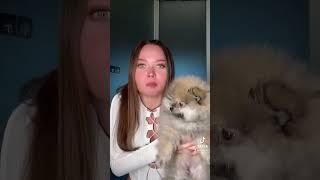 Отвечаю на вопросы в инсте -enina.24