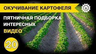 Окучивание картофеля. Пятничная подборка интересных видео