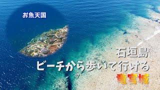 【石垣島】船に乗らなくも歩いて行ける竜宮城