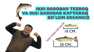 УЙ ШАРОИТИДА БАЛИҚ БОҚИШ БИЗНЕСИ #Baliq #forel #uyda #agrobiznes