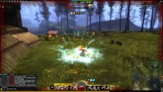 Guild Wars 2 WvW Warrior SS/GS