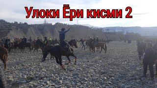 БУЗКАШИ ДАР ДЕХАИ ЁРИ КИСМИ 2 02 01 2023