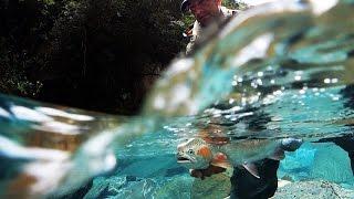 Fly Fishing Adventure in New Zealand: The BEST Trout Fishing in the world by Todd Moen