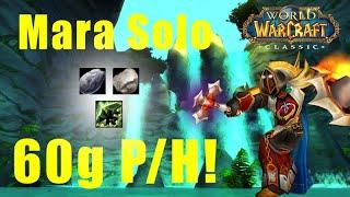 Wow Classic Paladin Gold Farming | Maraudon 60g p/h | Solo | Roly The Holy Paladin