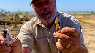 Finding Angry Venomous Rattlesnakes(DON’T TRY THIS!!)