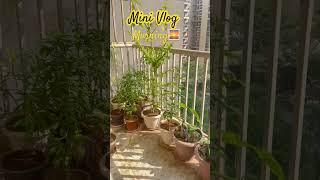Morning  #sunrise #morning #ytshortsindia #minivlog #homecooked #beautifulmorningview #ytshorts