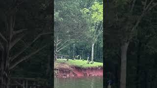 WESTPOINT LAKE IN LAGRANGE GEORGIA