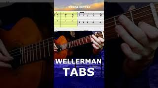 Soon may the Wellerman come - EASY guitar tabs