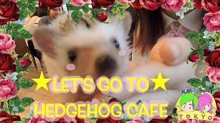 Let's go to HARRY - Hedgehog Cafe