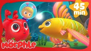 Magic FishMorphleCartoons for KidsFantasy Playground