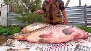 6 DISHES FROM HUGE SAZANS 18 kg! CATCH AND COOK MY CATCH Eng sub