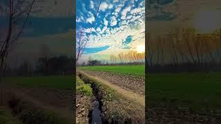 Village fields | Village green preservation society | Nature green screen