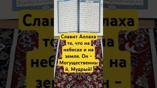 Коран: сура 57:3 #коран #ислам #вера #истина #бог #смыслжизни #любовь