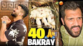 Allhumdulillah 40 Bakray for QurbaniDogar Awazar in the Mandi