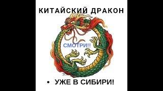 Китай захватит Сибирь! Очень скоро. не веришь? СМОТРИ!