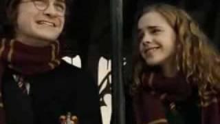 Harry and Hermione's Love Secret