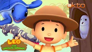 Leo the Wildlife Ranger | LEARN About Animals that LAY EGGS| Turtle, Owl & More!|@mediacorpokto