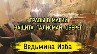 ТРАВЫ В МАГИИ. ЗАЩИТА. ТАЛИСМАН. ОБЕРЕГ. ВЕДЬМИНА ИЗБА ▶️ МАГИЯ