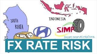 Foreign Exchange Rate Risk