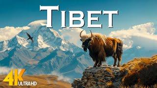 Tibet 4K Drone  - Scenic Relaxation Film with Epic Cinematic Music - 4K Video Ultra HD