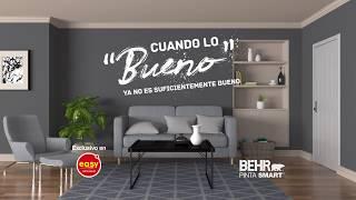 Behr Premium