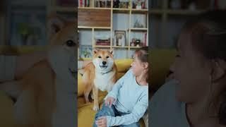 Pawsome Moments The Cutest Dog Compilation Ever