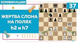 Жертва слона на полях h2 и h7 | Комбинации в шахматах | Chess Up! School #37