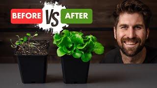 13 Seed Starting Mistakes I've Made - Here's How to Avoid Them!