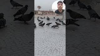 jivdaya mom priya priyam love all animals and birds #new#viral