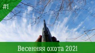 Весенняя охота на гуся 2021. Открытие весенней охоты. Охота с чучелами. Охота на селезня утки.