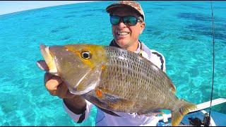 2 days Tropical Reef Fishing Eat what you Catch EP.494