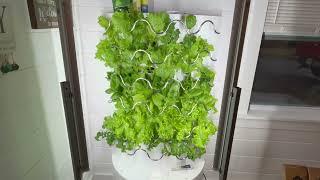 Indoor Hydroponic Gardening 2024 - the future of small lot farming indoors!