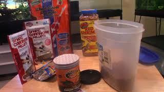 What To Feed Your Mud & Musk Turtles